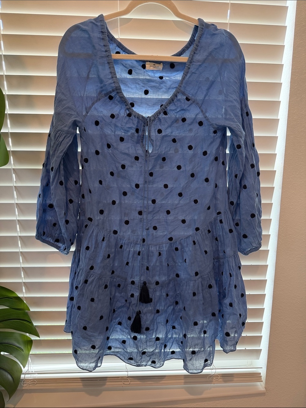 Benaras by Citrus Sheer Polka Dot Tunic Dress